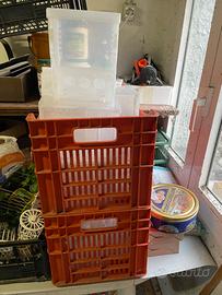 Mangiatoie e altro x uccelli