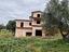 Immagine 8