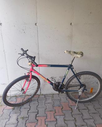 Bicicletta 