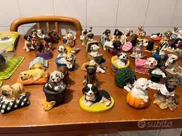 Collezione teneri cagnolini