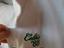 Immagine 2