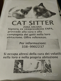 Cat sitter Ancona