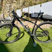 Specilized epic 2020