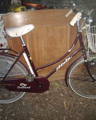 Bicicletta da donna 