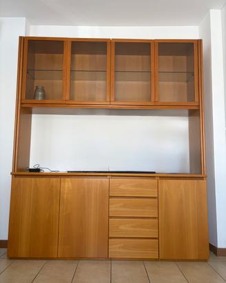 Libreria mobile tv