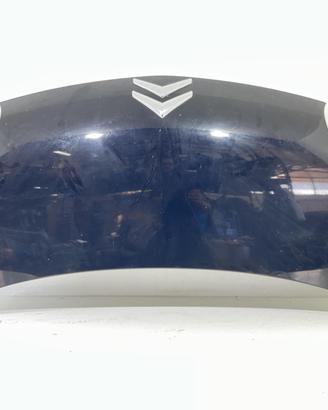COFANO ANTERIORE CITROEN C1 1° Serie 1611149480 (
