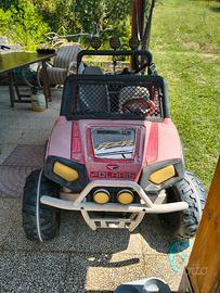 rzr peg perego 24v