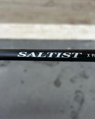 Canna da pesca spinning Daiwa SLSTX 90H-AI
