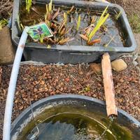 Filtro laghetto pesci