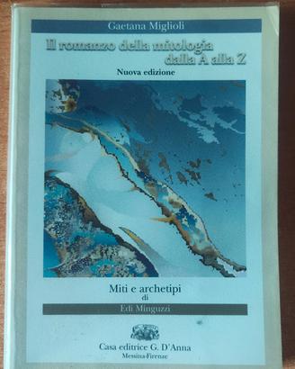 Il romanzo della ricerc