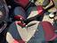 Immagine 2