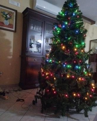 Albero di Natale