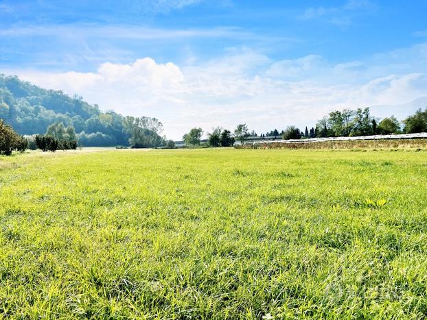 Terreno Agricolo Pinerolo [Cod. rif 3098721VCG]