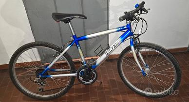 Bicicletta Silver star
