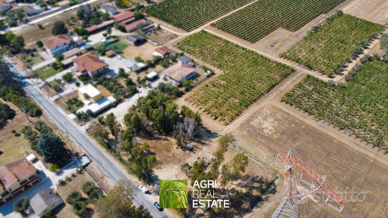 Terreno agricolo 4 ettari fronte strada con pozzo - Vista 2
