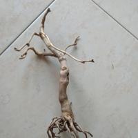 Legno Bonsai per acquari sped compres