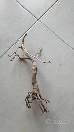 Legno Bonsai per acquari sped compres