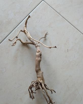 Legno Bonsai per acquari sped compres
