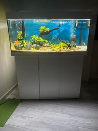 Acquario juwel rio 180