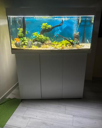 Acquario juwel rio 180