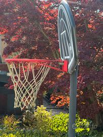 Canestro da basket