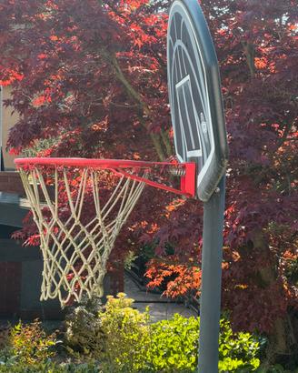 Canestro da basket