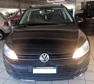 VOLKSWAGEN Golf Variant 1.6 TDI 110 CV Executive