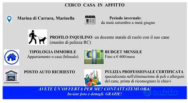 Docente contratto transitorio