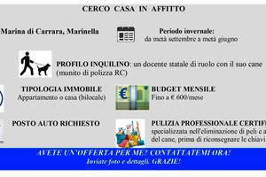 Docente contratto transitorio