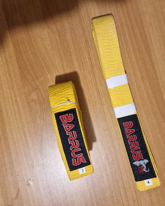 cintura karate