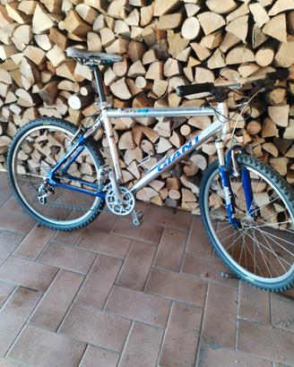 GIANT MTB