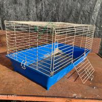 gabbia PETS per animali