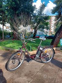 Bicicletta elettrica pedalata assistita city bike