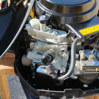 Fuoribordo suzuki df2.5