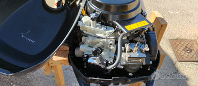 Fuoribordo suzuki df2.5