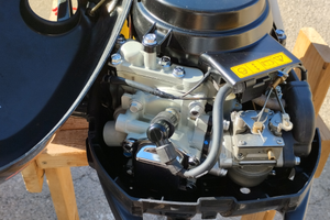 Fuoribordo suzuki df2.5