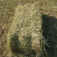 presse fieno per animali 