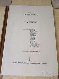Incisioni Acqueforti di pittori vari