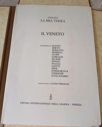 Incisioni Acqueforti di pittori vari