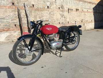 Gilera 150 Turismo 1953 telaio 19