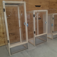 Terrario, Teca, Allecamento insetti stecco fasmidi