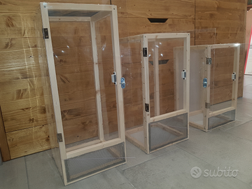 Terrario, Teca, Allecamento insetti stecco fasmidi