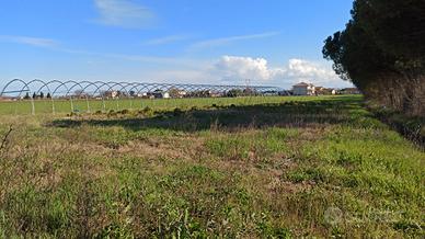 Terreno agricolo con serra