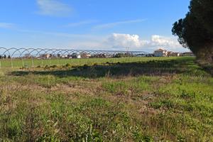 Terreno agricolo con serra