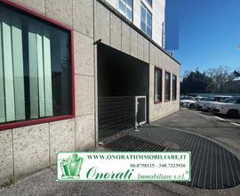 CC-309 MQ 230 ROMA, COLLI ANIENE/ PAMLIRO TOGLIATT