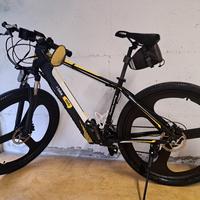 bici elettrica