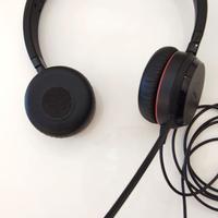 Auricolare professionale Jabra Evolve 30 II USB
