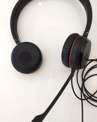 Auricolare professionale Jabra Evolve 30 II USB