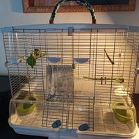 GABBIA UCCELLI  VISION