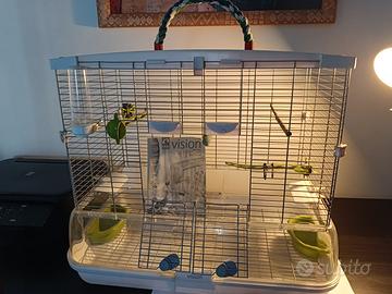 GABBIA UCCELLI  VISION